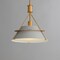 Maxim Lighting Lucas 1-Light Pendant, Natural Aged Brass 25221LFGNAB - alternate 4